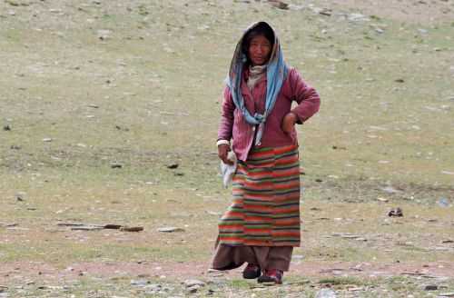 TREKKING IN LADAKH | CHANGTANG 2017